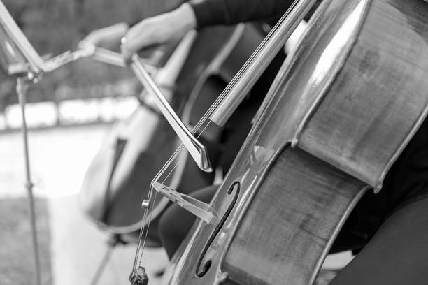 Violin playing a wedding for a first dance.